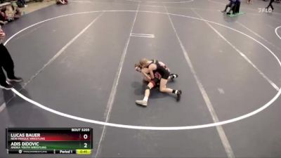 67 lbs Quarterfinal - Lucas Bauer, New Prague Wrestling vs Adis Didovic, Anoka Youth Wrestling