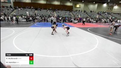 98 lbs Final - Roman Wullbrandt, Cornerstone MC vs Mercer Hamilton, Mat Demon WC