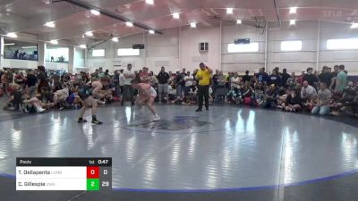 132 lbs Pools - Trevor Dellapenta, Lumberyard (NY) vs Colton Gillespie, University Hawks W.A.