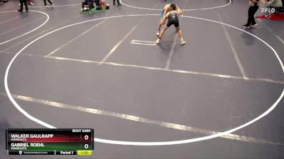 120 lbs 1st Place Match - Walker Gaulrapp, Minnesota vs Gabriel Roehl, Minnesota