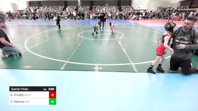 44-T lbs Quarterfinal - Axel Trindel, Anchor Wrestling Club vs Zeke Fellona, Pride Wrestling