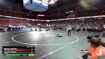 D3-132 lbs Champ. Round 1 - Brooks Kraus, Athens vs Bryer Christel, Reedsville