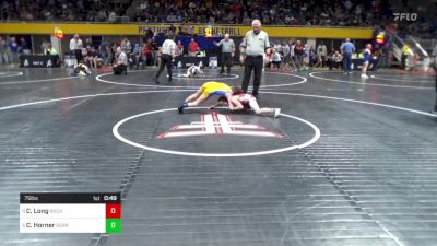 75 lbs Semifinal - Colson Long, Rochester vs Corbin Horner, Derry