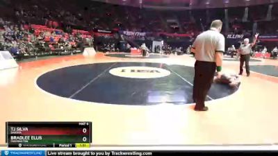 1A 126 lbs Quarterfinal - TJ Silva, Dakota vs Bradlee Ellis, Farmington