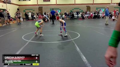 48-52 lbs Quarterfinal - Christian Slokovitz, Williamsburg Wrestling Club vs Delainie Nguyen, Headhunters