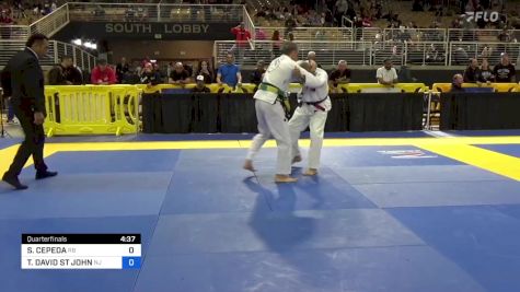 SAULO CEPEDA vs TIMOTHY DAVID ST JOHN 2024 Pan Jiu Jitsu IBJJF Championship