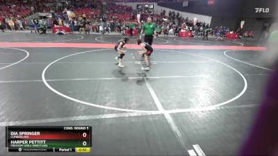 70 lbs Cons. Round 5 - Harper Pettitt, Freedom Girls Wrestling vs Dia Springer, Cumberland