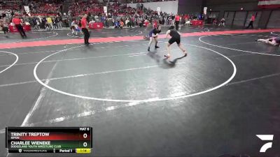 152 lbs Cons. Round 4 - Trinity Treptow, Ripon vs Charlee Wieneke, Dodgeland Youth Wrestling Club