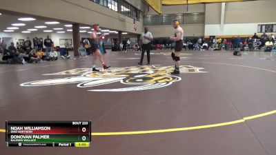 165 lbs Cons. Round 4 - Noah Williamson, Ohio Northern vs Donovan Palmer, Baldwin Wallace