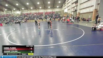 49 lbs Quarterfinal - Dominic Collins, Sanderson Wrestling Academy vs Adriel Flores, Warriors Of Christ WOC