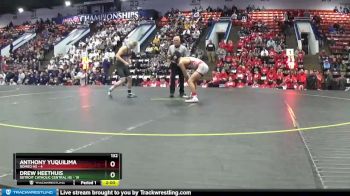 132 lbs Semifinals (8 Team) - Drew Heethuis, Detroit Catholic Central HS vs Anthony Yuquilima, Romeo HS