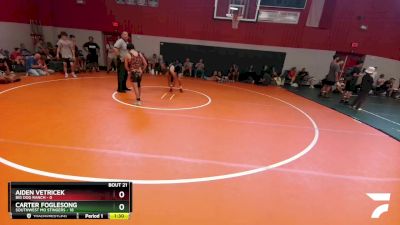 118 lbs Round 6 (8 Team) - Carter Foglesong, Southwest MO Stingers vs Aiden Vetricek, Big Dog Ranch