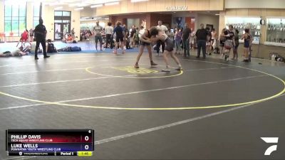 132 lbs Cons. Round 5 - Phillip Davis, Tech Squad Wrestling Club vs Luke Wells, Powhatan Youth Wrestling Club