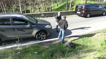 The View from Halfway Up Vesuvius