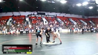 105 lbs Quarterfinal - Nico DeSalvo, Immortal Athletics WC vs Anthony Garza, California