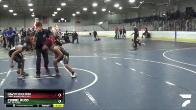 82 lbs Cons. Round 4 - Gavin Shelton, Three Rivers Wildcats vs Ezekiel Rudd, Mat Psychos