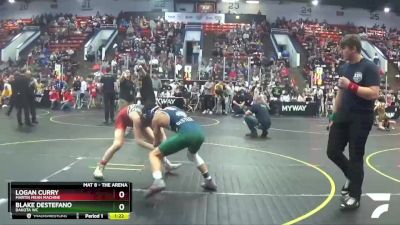 122 lbs Champ. Round 2 - Blake DeStefano, Dakota WC vs Logan Curry, Martin Mean Machine