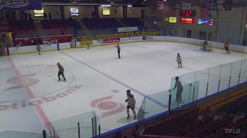 Replay: Home - 2023 Penguins U16 vs Grizzlies U16 | Nov 25 @ 2 PM