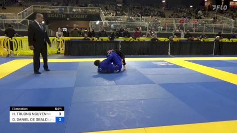 HOANG TRUONG NGUYEN vs DAVID DANIEL DE OBALDIA ALVARADO 2024 Pan Jiu Jitsu IBJJF Championship