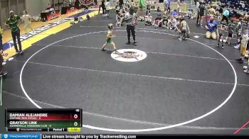 45 lbs Round 2 (6 Team) - Damian Alejandre, Eastside Iron Eagles vs Grayson Link, Summerville Takedown Club
