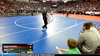 D2-138 lbs Semifinal - Brody Hart, Winneconne vs Ryan Tomazevic, Seymour