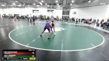 165 lbs Semifinal - Tim Stapleton, Minnesota vs Izzy Moreno, Northern Iowa