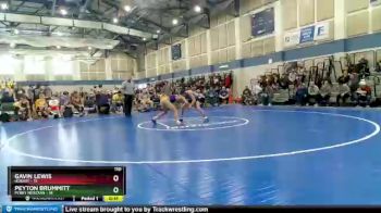 110 lbs Semis (4 Team) - Peyton Brummitt, Perry Meridian vs Gavin Lewis, Hobart