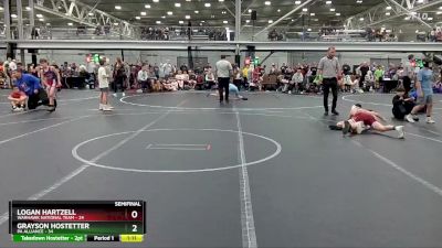 100 lbs Semis (4 Team) - Grayson Hostetter, PA Alliance vs Logan Hartzell, Warhawk National Team