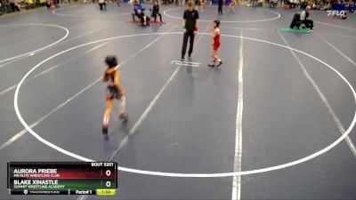 67 lbs Quarterfinal - Blake Xinastle, Summit Wrestling Academy vs Aurora Priebe, MN Elite Wrestling Club