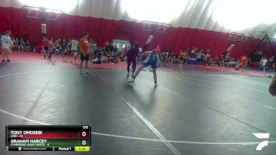 175 lbs Round 1 (4 Team) - Graham Harcey, Cambridge-Isanti White vs Tony Omosebi, Lodi