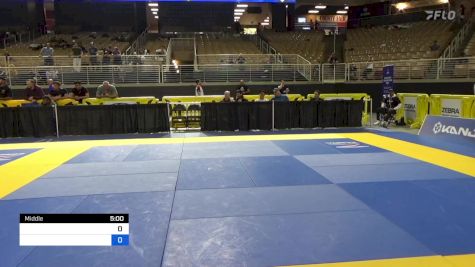JOHN LAWRENCE HOWELL vs TROY L PETERSON 2024 Pan Jiu Jitsu IBJJF Championship