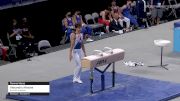 Alexandru Nitache - Pommel Horse, GymTek Academy - 2021 US Championships