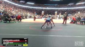 138-3A Semifinal - D`mitri Garza-Alarcon, Fort Lupton vs Brayden Bach, Holy Family