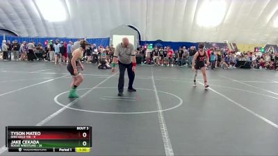 100 lbs Round 1 (8 Team) - Jake Cekada, Rogue Wrestling vs Tyson Mateo, Ohio Gold 10k