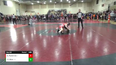 95 lbs Semifinal - Eric Bice, Legends Of Gold vs Axel Posterick, LITTLE FALLS