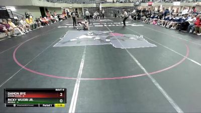 145 lbs Semis & 1st Wrestleback (8 Team) - Damon Bye, Dover Eyota vs Ricky Wuori Jr., Bemidji