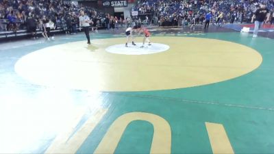 58 lbs Semifinal - Alexander Deleon, Othello Wrestling Club vs Townes Hoyt, NWWC