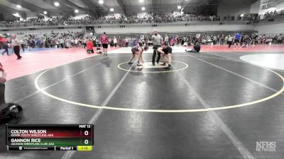 120 lbs Semifinal - Gannon Rice, Jackson Wrestling Club-AAA vs Colton Wilson, Ozark Youth Wrestling-AAA