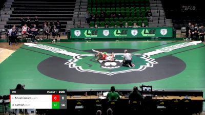 165 lbs Brady Schuh, Wisconsin-Parkside vs Leo Mushinsky, UMary