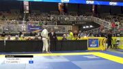 THEODORE ALLEN LINN vs PAULO R. CASTRO 2024 Pan Jiu Jitsu IBJJF Championship