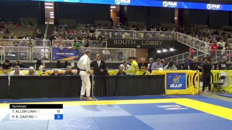 THEODORE ALLEN LINN vs PAULO R. CASTRO 2024 Pan Jiu Jitsu IBJJF Championship