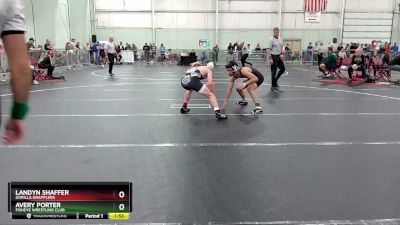 126 lbs Cons. Round 2 - Avery Porter, FishEye Wrestling Club vs Landyn Shaffer, Gorilla Grapplers