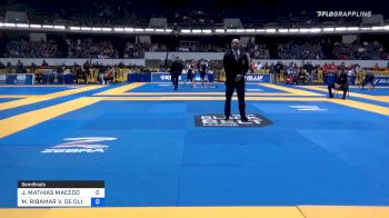 MATHIAS LUNA vs MANUEL RIBAMAR 2019 World IBJJF Jiu-Jitsu No-Gi Championship