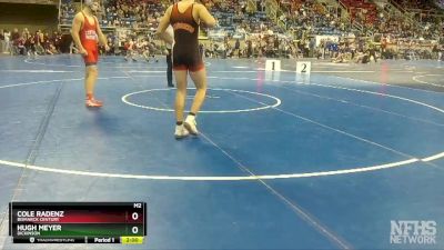 170 lbs Quarterfinal - Cole Radenz, Bismarck Century vs Hugh Meyer, Dickinson