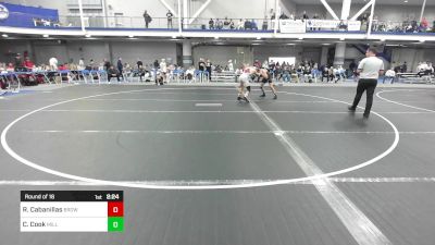 149 lbs Round Of 16 - Ricky Cabanillas, Brown University vs Craig Cook, Millersville University