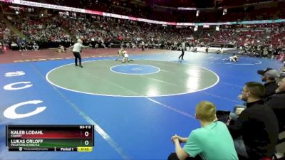 D3-113 lbs 3rd Place Match - Lukas Orloff, Pecatonica/Argyle vs Kaleb Lodahl, Cadott