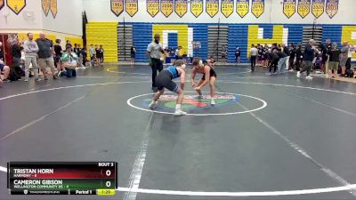 113 lbs Quarterfinals (8 Team) - Tristan Horn, Harmony vs Cameron Gibson, Wellington Community Hs