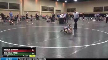 45 lbs Finals (2 Team) - Moxon Demmom, Iowa Gold vs Phinneas Aron, Tennessee Blue