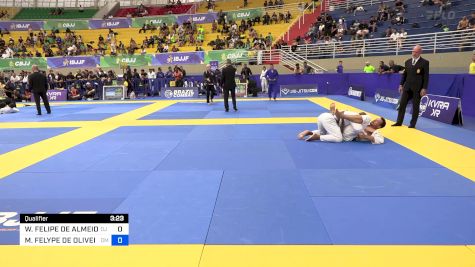 WALISON FELIPE DE ALMEIDA ALEIXO vs MATHEUS FELYPE DE OLIVEIRA FERNA 2024 Brasileiro Jiu-Jitsu IBJJF