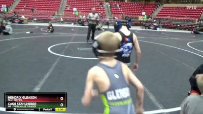 55 lbs Semifinal - Hendrix Gleason, TEAM CENTRAL vs Cash Stahlheber, WR - Topeka Blue Thunder